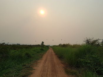 Road amidst grassy field against sky