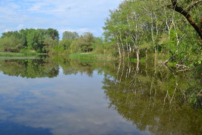 Reflection of trees in lake against sky