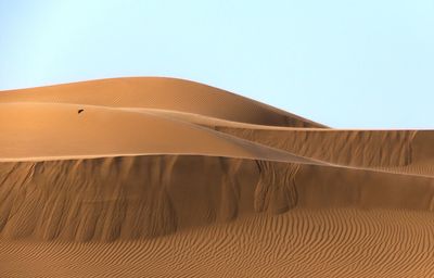 Scenic view of sand dunes in desert