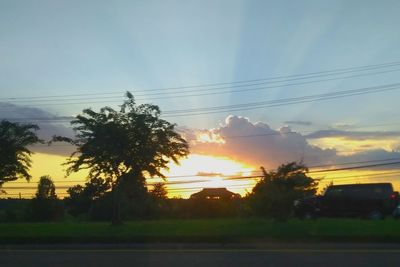 Silhouette trees on field against sky during sunset
