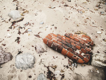 High angle view of damaged on sand