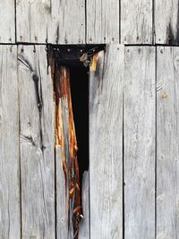 Full frame shot of old wooden door