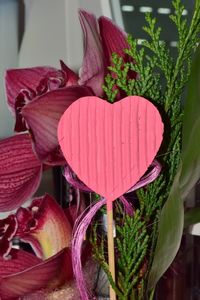 Close-up of pink flowers