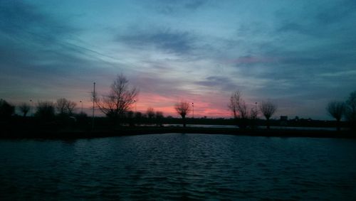 Silhouette of trees at sunset