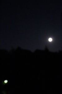 Low angle view of silhouette moon against sky at night