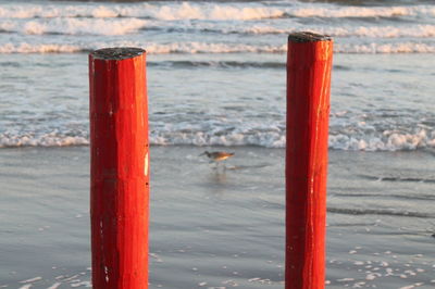 Close-up of red wooden post at beach