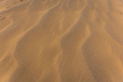 Full frame shot of sand dune