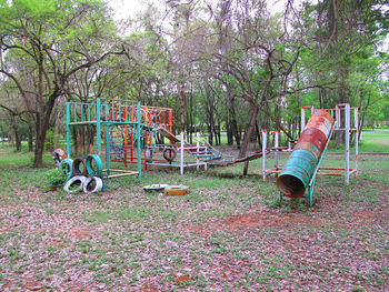 View of playground against trees in park