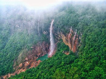 Panoramic view of waterfall in forest