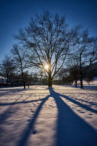 Bare trees on snow field against sky during winter