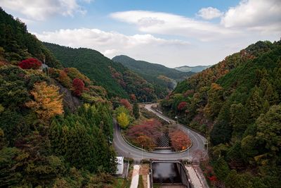 High angle view of road amidst plants against sky