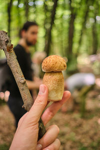 Close-up of hand holding mushroom