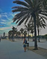 Palm trees on beach in city against sky