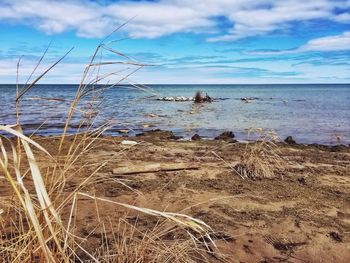 Scenic view of sea against sky