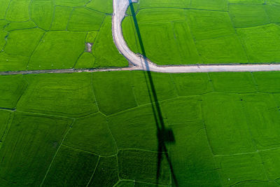 Full frame shot of agricultural field