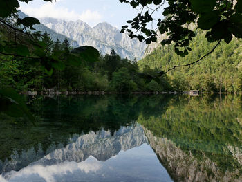 Scenic view of lake by trees against sky