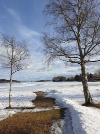 Scenic view of frozen lake against sky during winter