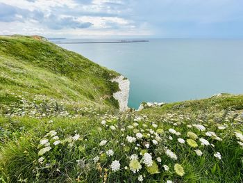 Scenic view of sea against sky