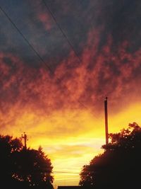 Silhouette of trees at sunset