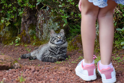 Low section of person with cat