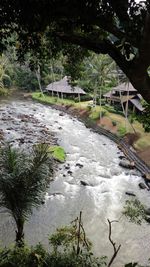 Scenic view of river amidst trees