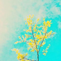 Low angle view of trees against blue sky