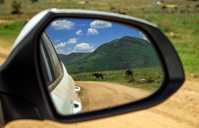 Reflection on road on side-view mirror