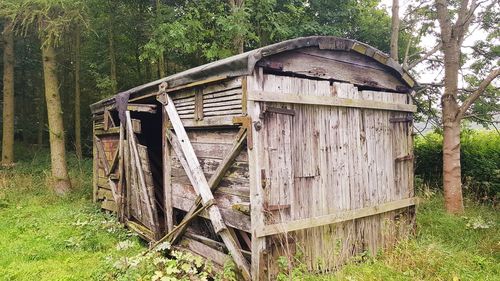 Abandoned built structure in forest