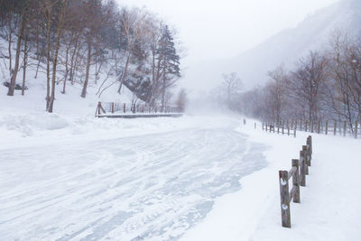 Snow covered field by trees during winter