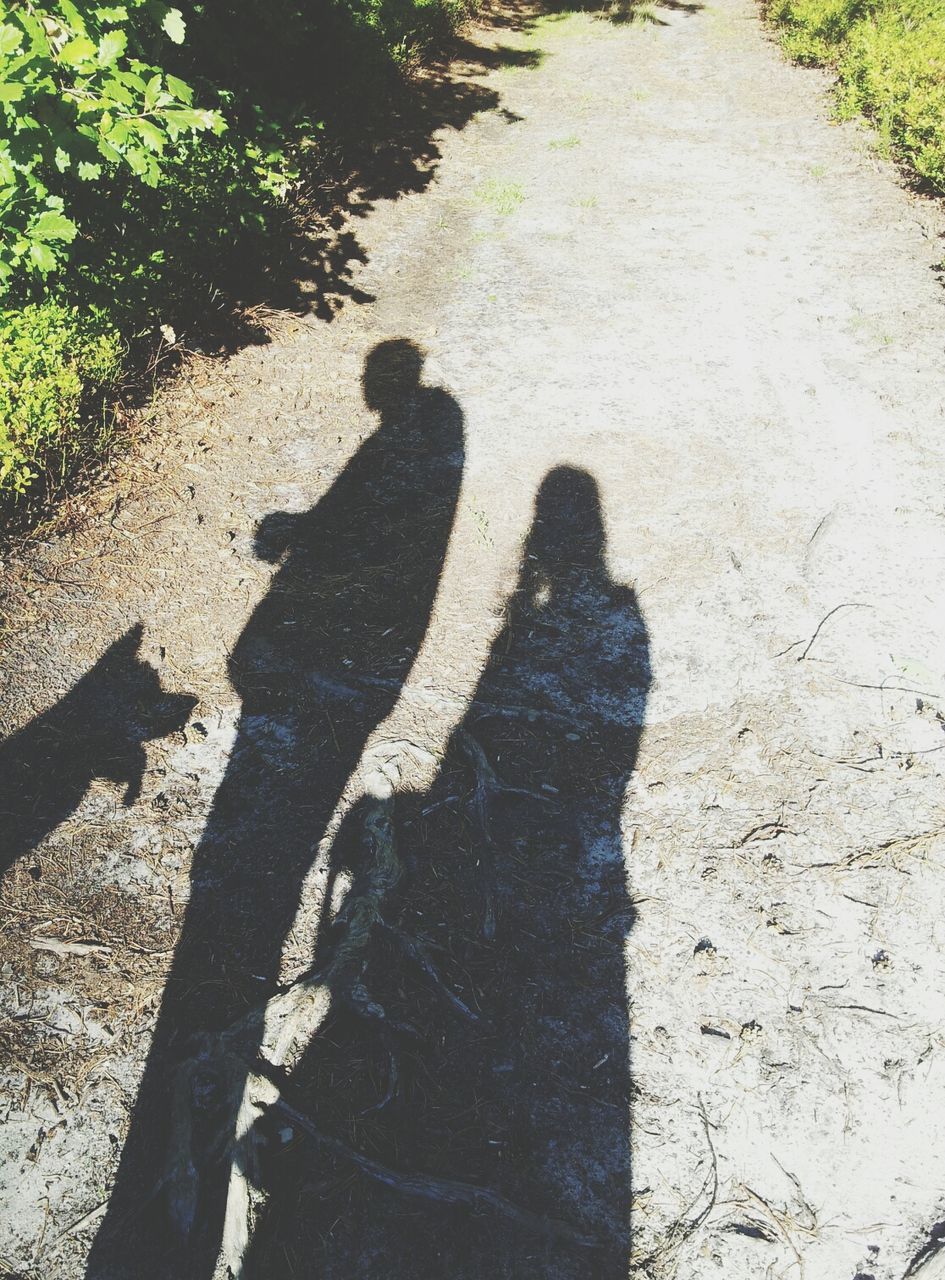 shadow, sunlight, focus on shadow, high angle view, lifestyles, street, leisure activity, men, day, unrecognizable person, outdoors, footpath, walking, road, standing, sunny, tree, wall - building feature