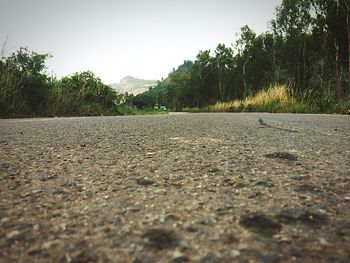 Surface level of empty road along trees