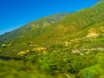 Scenic view of green landscape against clear blue sky
