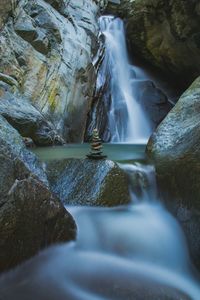 Scenic view of waterfall in forest