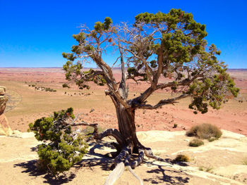 View of landscape against clear blue sky