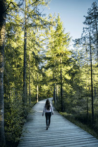 Rear view of woman walking on boardwalk in forest