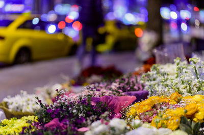 Close-up of purple flowers blooming in city at night