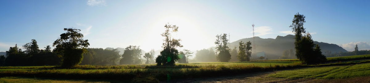 Panoramic view of agricultural field against sky