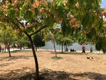 People on beach