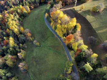 High angle view of road amidst trees