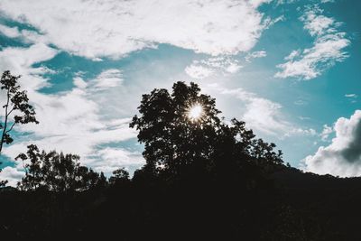 Low angle view of silhouette trees against sky on sunny day