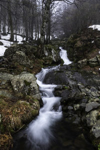 Stream flowing through rocks in forest