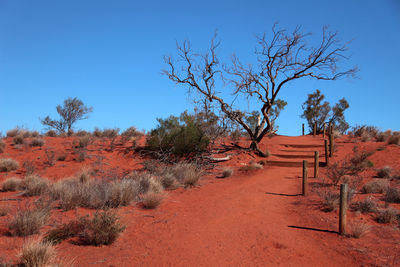 Scenic view of landscape against clear blue sky