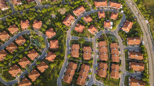 High angle view of buildings and trees in city