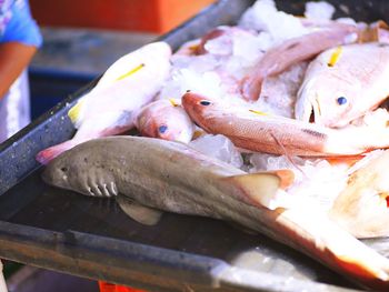 Close-up of fish for sale in market