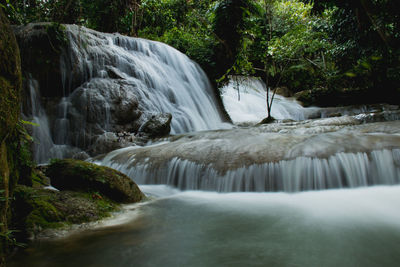 Scenic view of waterfall in forest