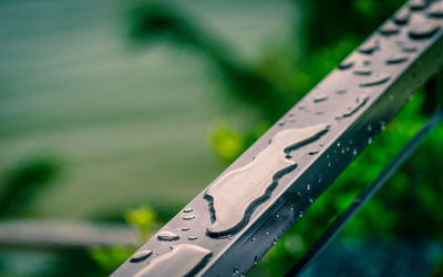 Close-up of leaf on railing