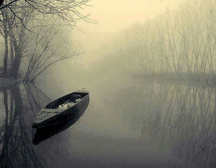 water, transportation, nautical vessel, tree, boat, mode of transport, tranquility, tranquil scene, lake, reflection, nature, scenics, beauty in nature, river, waterfront, moored, branch, sky, bare tree, outdoors