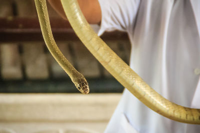 Close-up of man holding white wine