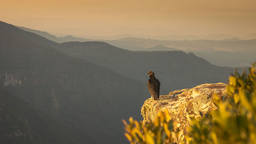 Scenic view of mountains against sky during sunset