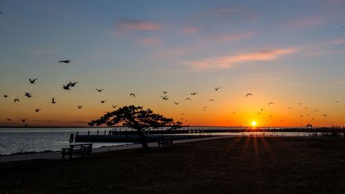 Scenic view of sea against dramatic sky during sunset